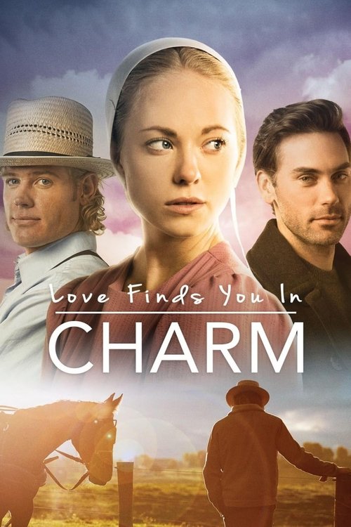 Love Finds You in Charm постер