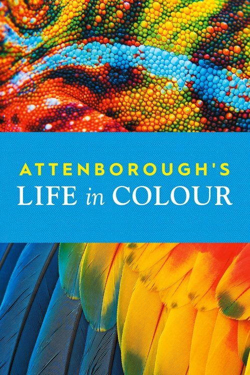 Attenborough's Life in Colour постер