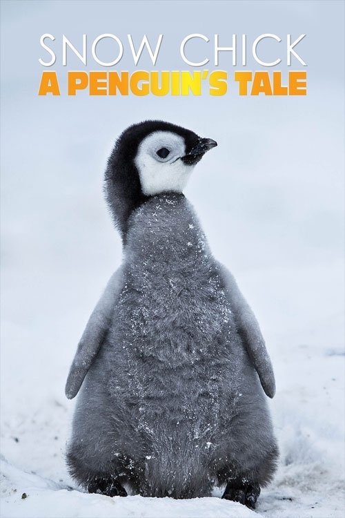 Snow Chick - A Penguin's Tale постер