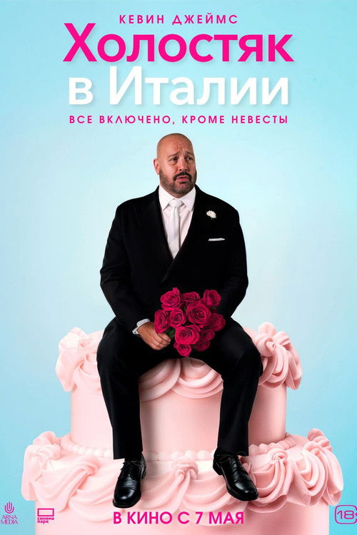 Холостяк в Италии постер