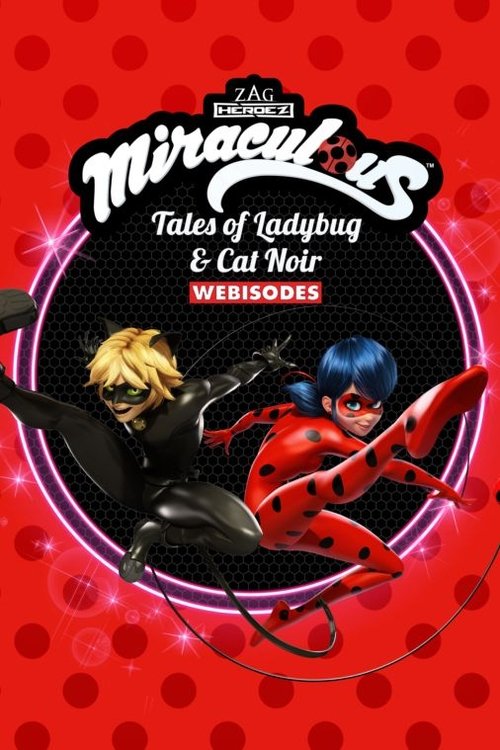 Miraculous : Les secrets постер