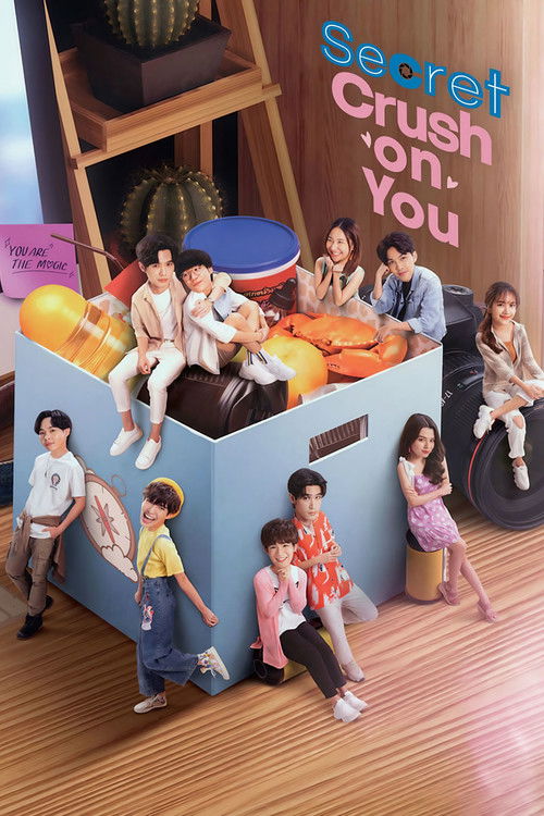 Secret Crush On You постер