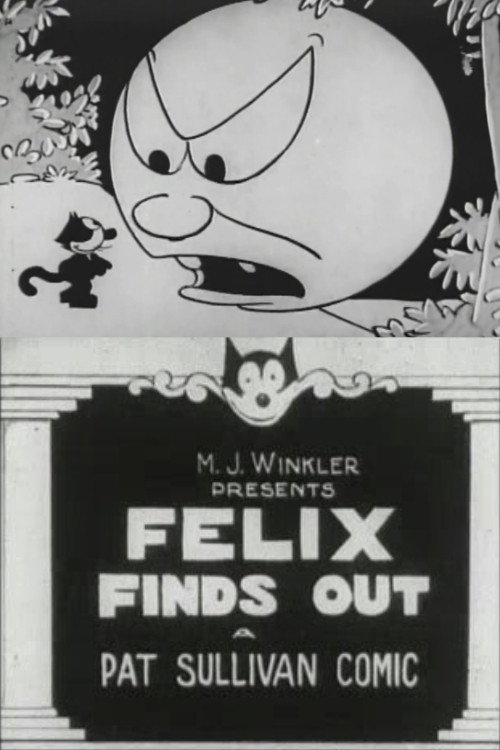 Felix Finds Out постер