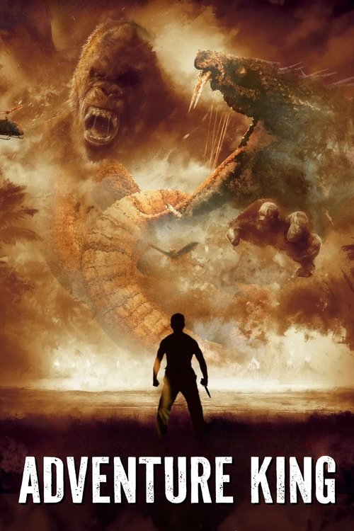 冒险王 постер
