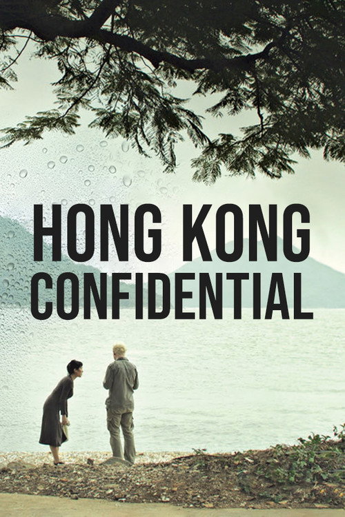 Hong Kong Confidential постер