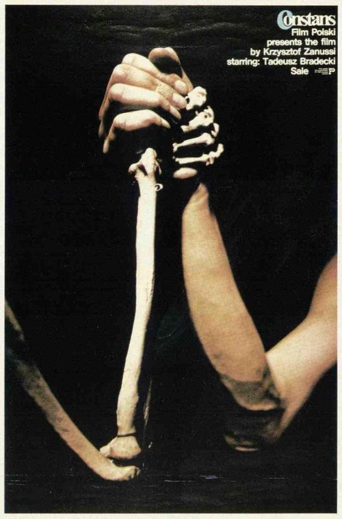 The Constant Factor постер