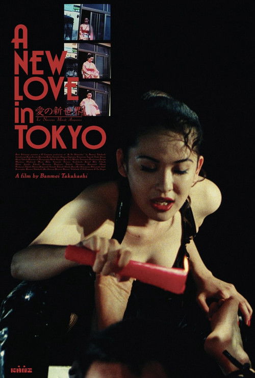 A New Love in Tokyo постер
