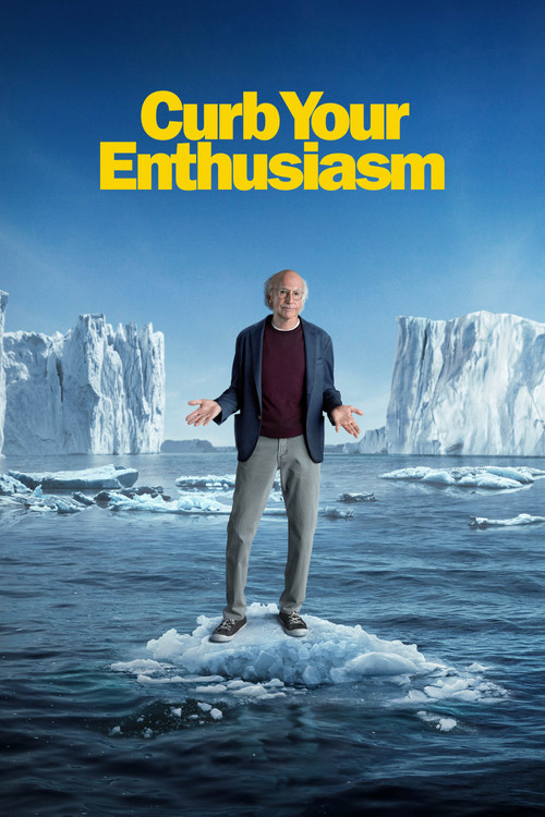 Curb Your Enthusiasm постер