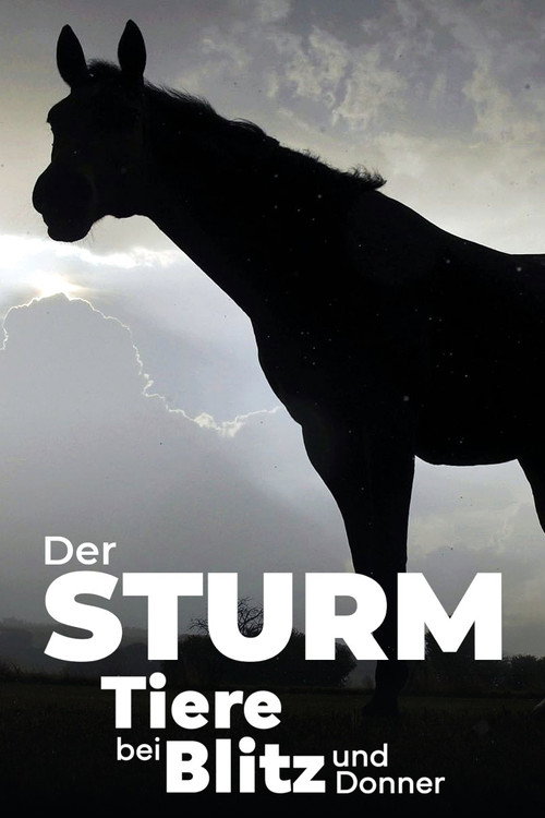 Der Sturm - Tiere bei Blitz und Donner постер