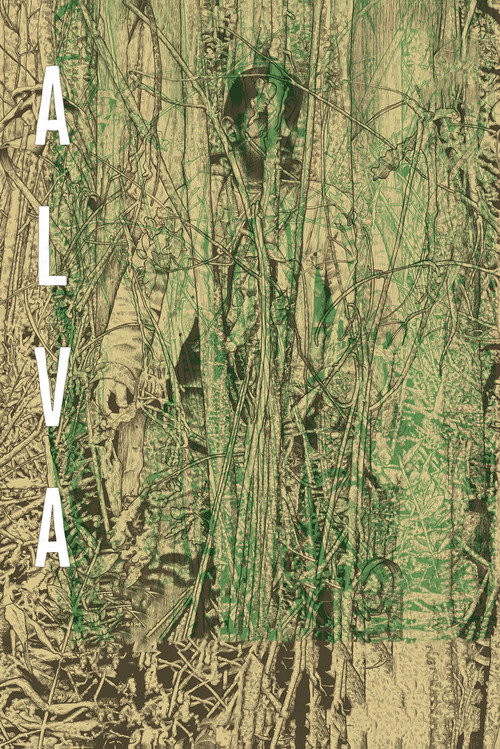 Рассвет постер