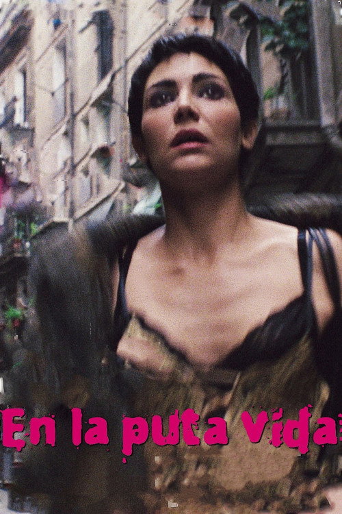 En la puta vida постер