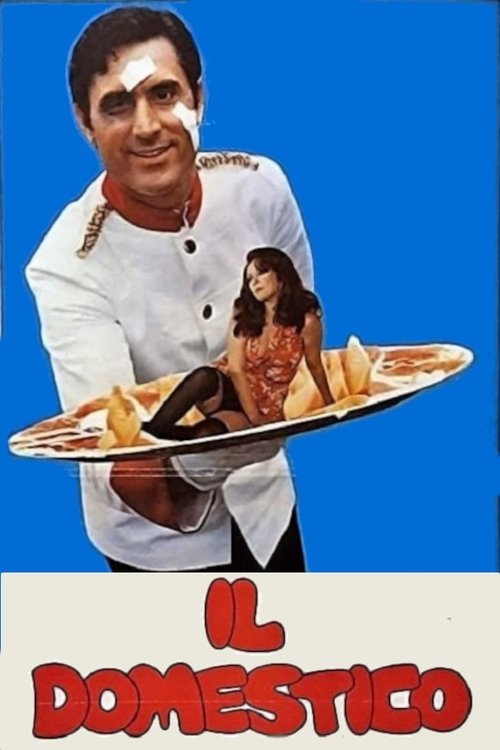 Il domestico постер