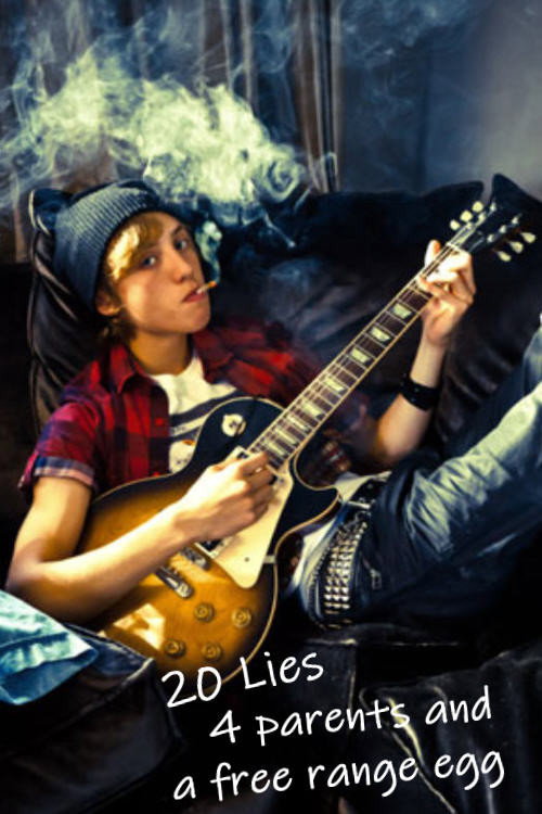 20 Leugens, 4 ouders en één scharrelei постер