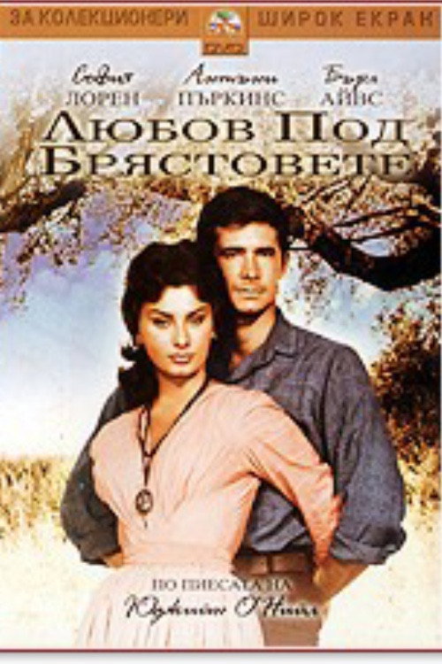 Любовь под вязами постер
