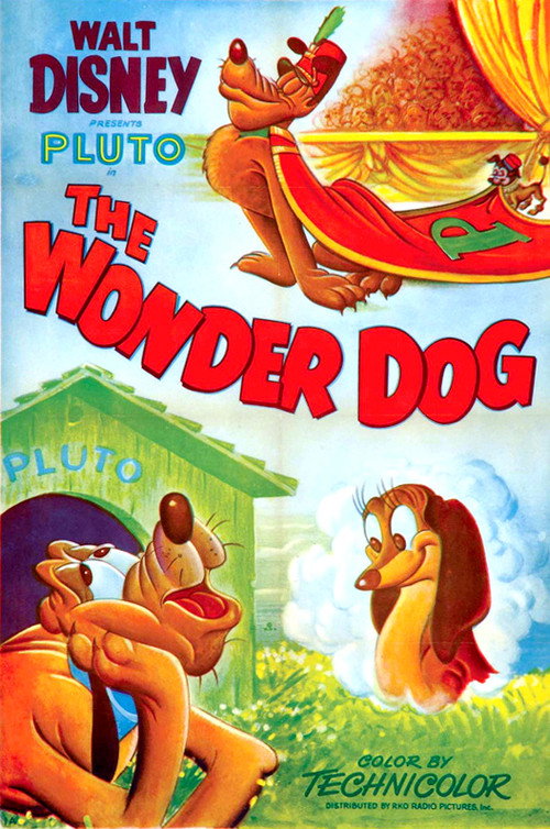 Wonder Dog постер