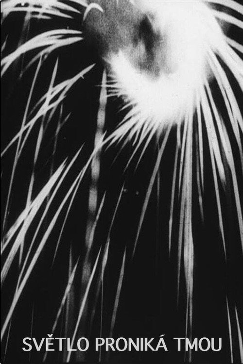 The Light Penetrates the Dark постер