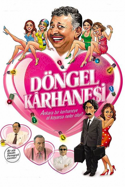 Döngel Kârhanesi постер