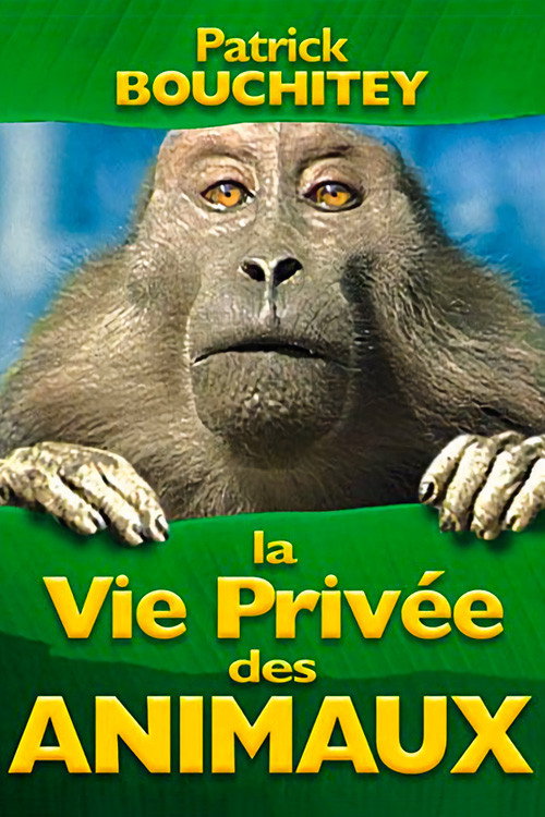 La vie privée des animaux постер