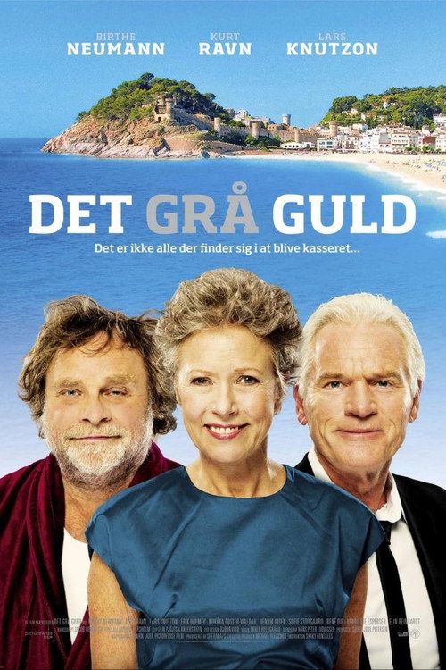 Det grå guld постер