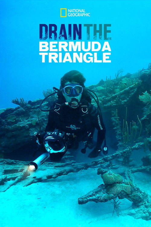 Drain the Bermuda Triangle постер