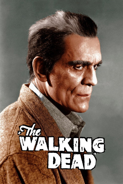 Ходячий мертвец постер