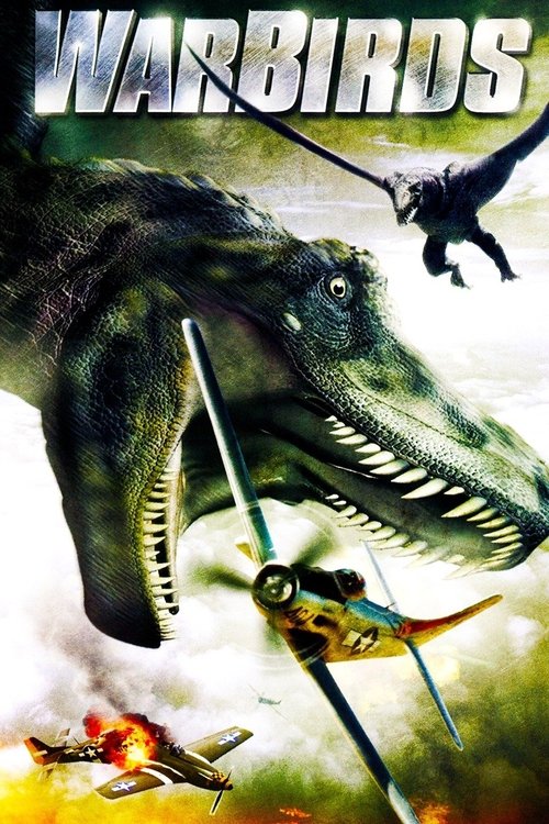 Warbirds постер
