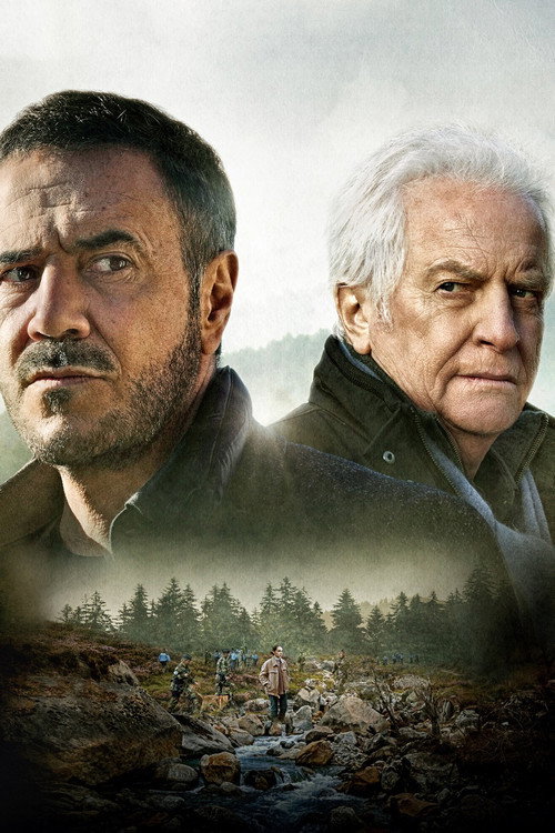 Le Torrent постер