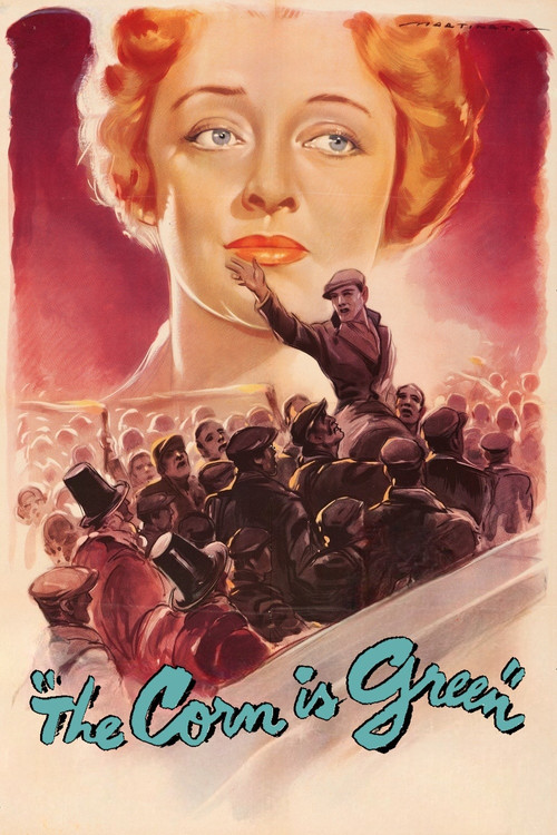 Кукуруза зеленая постер