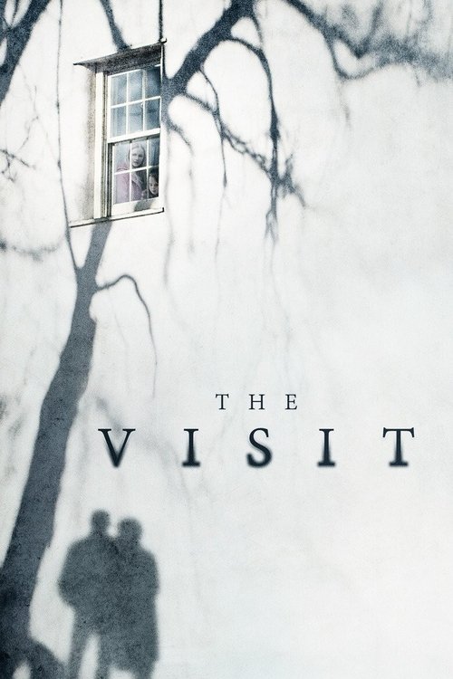The Visit постер