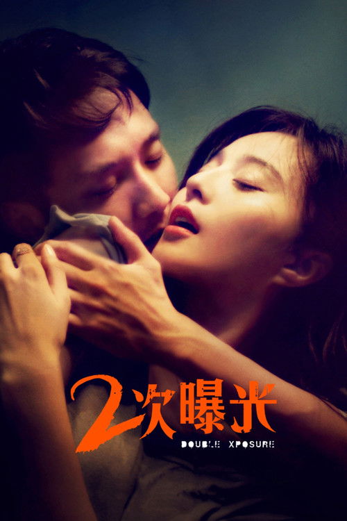 二次曝光 постер