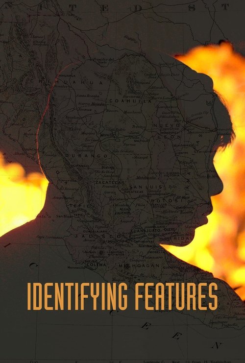 Identifying Features постер