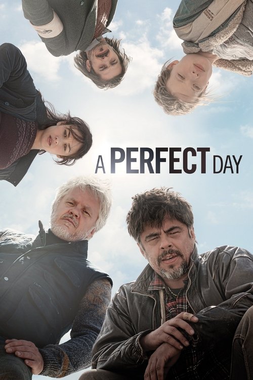 A Perfect Day постер