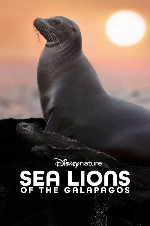 Sea Lions of the Galapagos постер