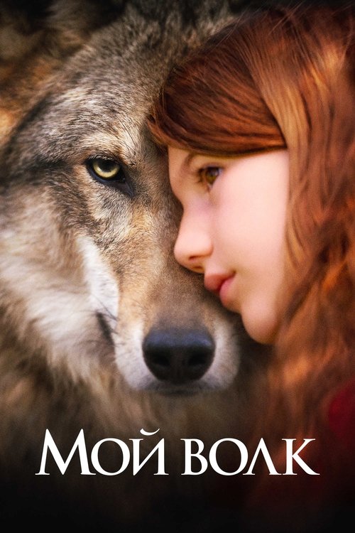 Мой волк постер