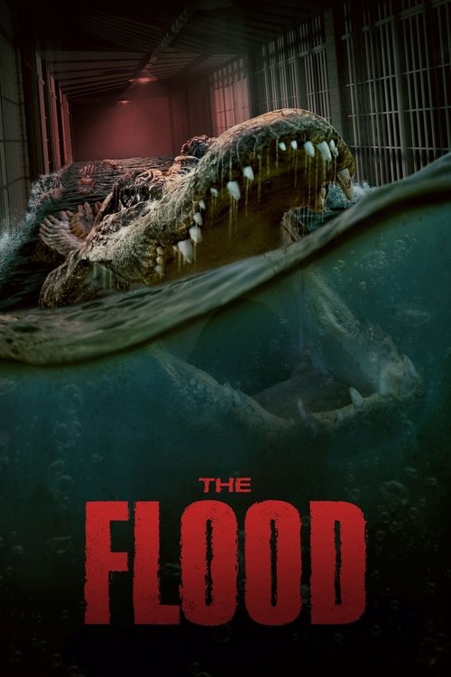 The Flood постер