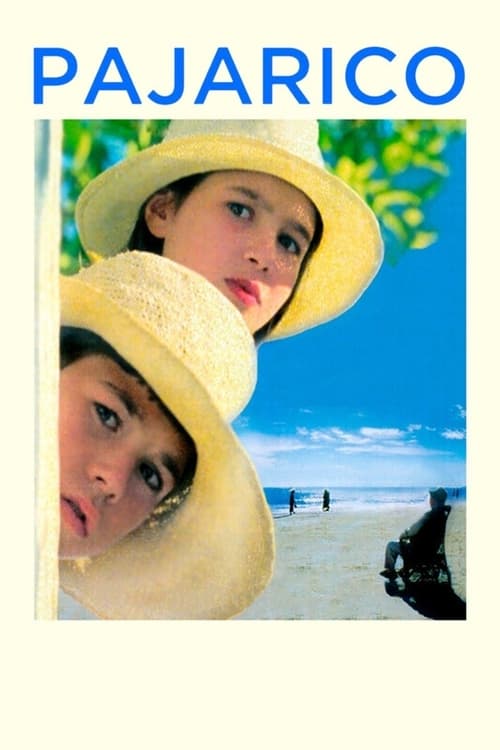 Pajarico постер