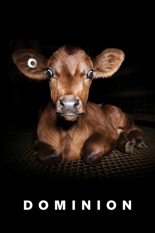 Доминион постер