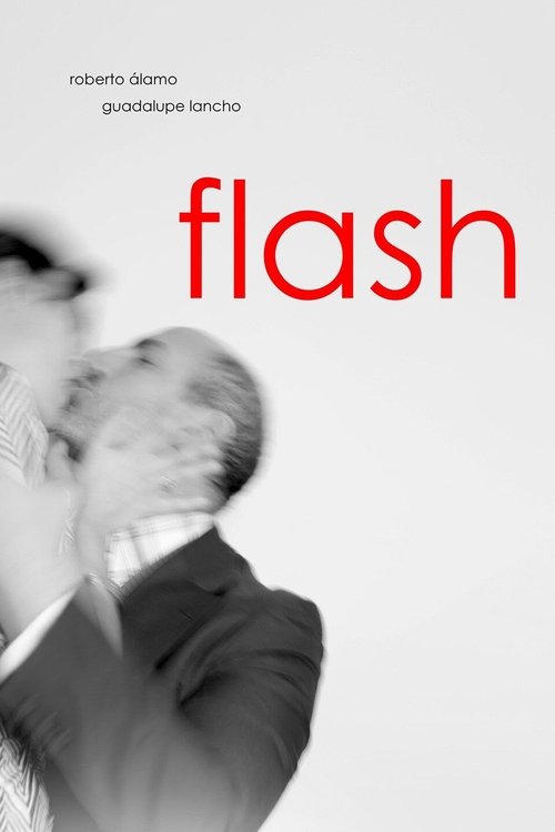 Flash постер