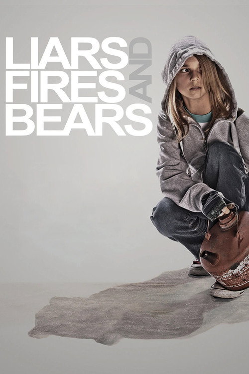 Liars, Fires and Bears постер