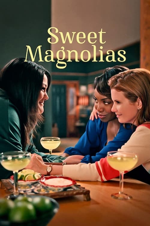 Sweet Magnolias постер