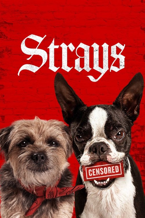 Strays постер