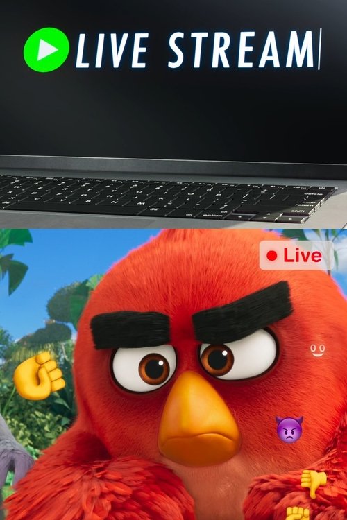 Angry Birds: Live Stream постер