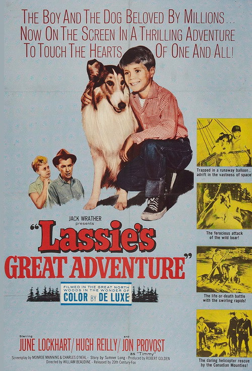 Lassie's Great Adventure постер