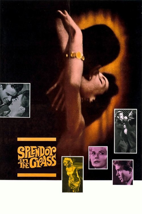 Splendor in the Grass постер