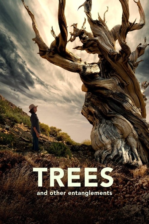 Trees and Other Entanglements постер