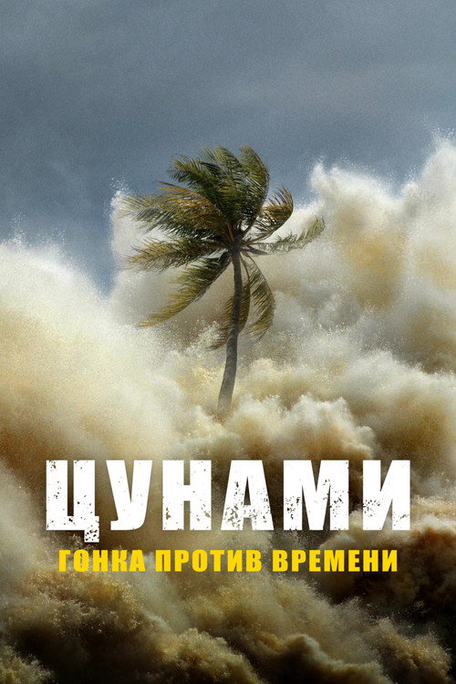 Цунами: наперегонки со временем постер
