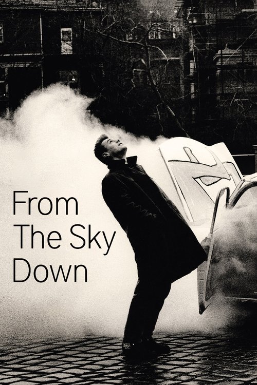 U2: From the Sky Down постер