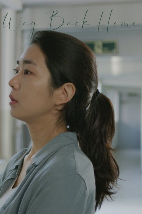 비밀의 정원 постер