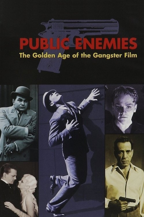 Public Enemies: The Golden Age of the Gangster Film постер