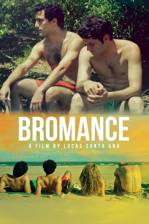 Bromance постер